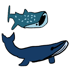  black outlines, the whale at the top is dark blue with a light blue under part and a closed mouth, the whale on the bottom is a whale shark with an open mouth